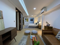 Joo Chiat Place (D15), Terrace #332226701